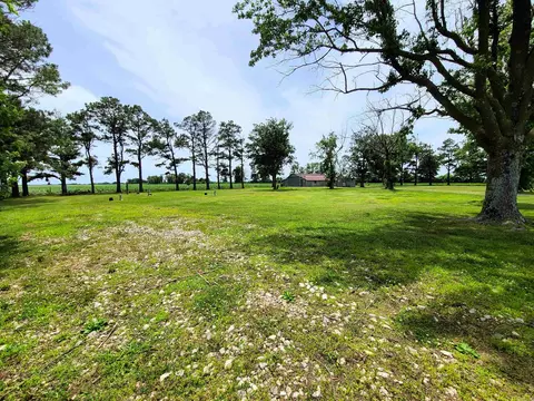 430 Cr 554 Rd, Piggott, AR 72454 photo 6