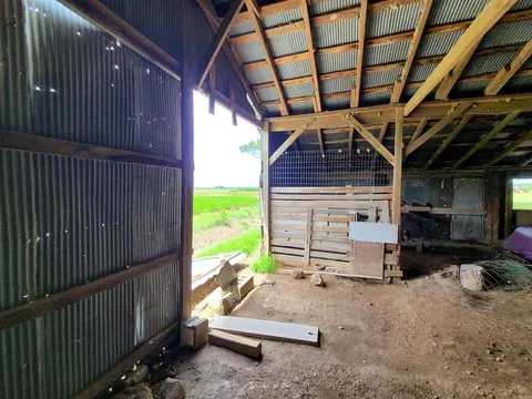 430 Cr 554 Rd, Piggott, AR 72454 photo 28