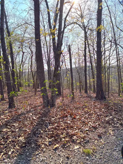 Wewaka Drive, Cherokee Village, AR 72529
