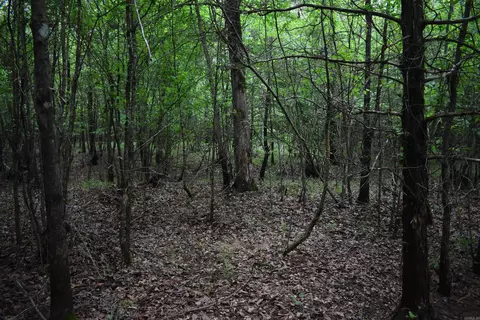 0000 Dooley Rd, Parks, AR 72950 photo 33