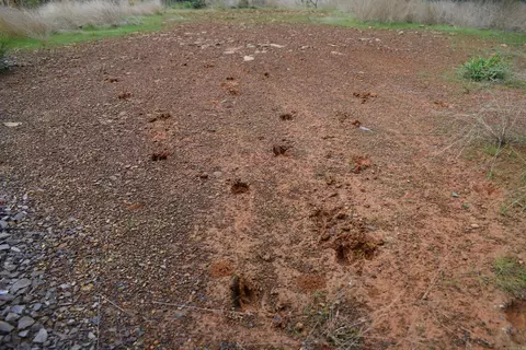0000 Dooley Rd, Parks, AR 72950 photo 36
