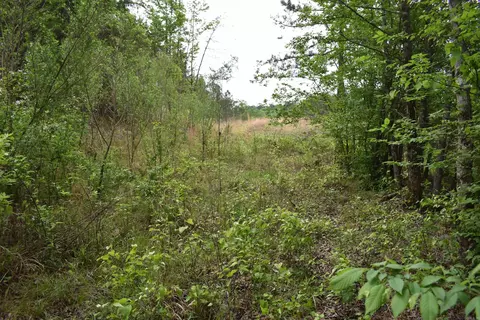 0000 Dooley Rd, Parks, AR 72950 photo 34