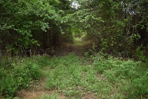 0000 Dooley Rd, Parks, AR 72950 photo 28