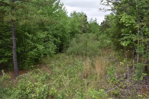 0000 Dooley Rd, Parks, AR 72950 photo 35