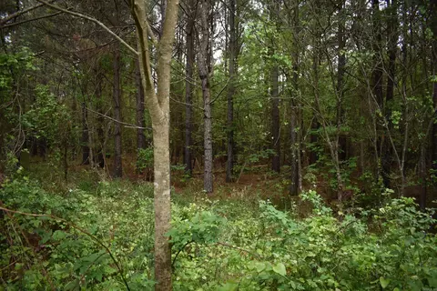 0000 Dooley Rd, Parks, AR 72950 photo 29