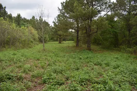 0000 Dooley Rd, Parks, AR 72950 photo 27