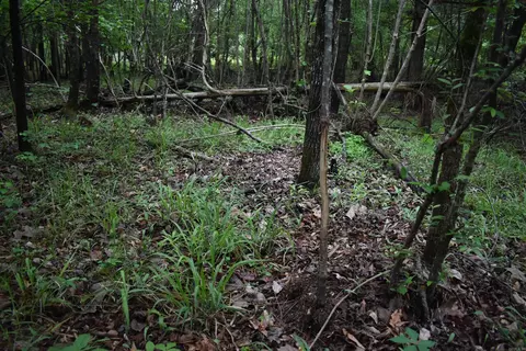 0000 Dooley Rd, Parks, AR 72950 photo 32