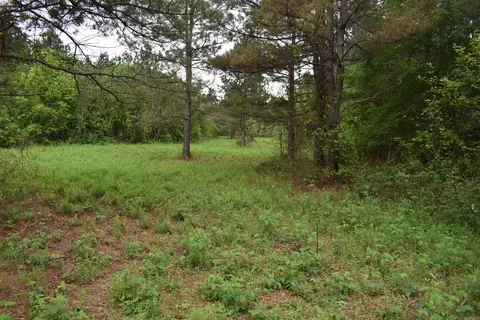 0000 Dooley Rd, Parks, AR 72950 photo 30