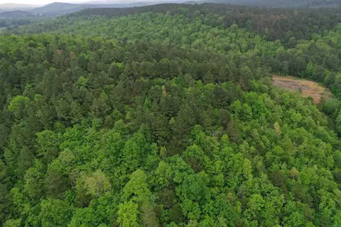 0000 Dooley Rd, Parks, AR 72950 photo 10
