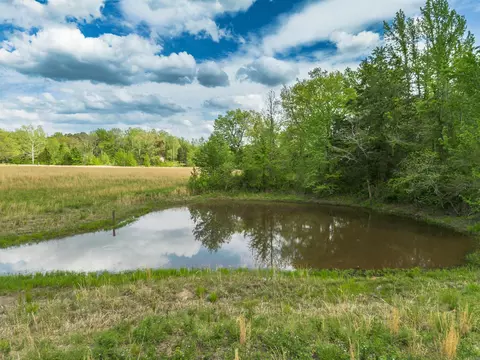 00 Hwy 92 East Boone Ln, Bee Branch, AR 72013 photo 7