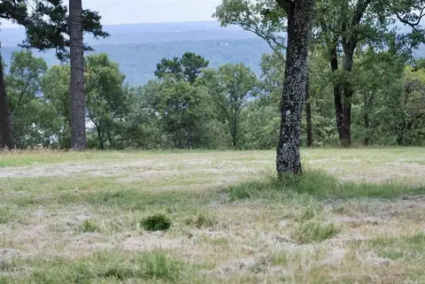 5 65 Acres Honeysuckle Ln, Quitman, AR 72131 photo 4