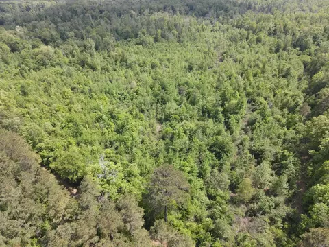 000 County Road 311, Hamburg, AR 71646