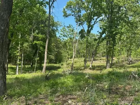 195 Old Springfield Dr, Quitman, AR 72131 photo 36