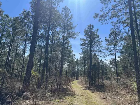 11-13 19 Ouachita Cr 183, Chidester, AR 71726