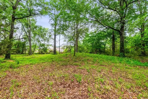 Other - 43 Eve, Conway, AR 72034 photo 1 of 4