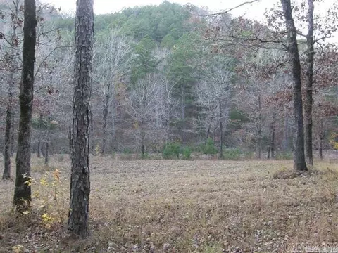 155 Shady Ln, Mena, AR 71953 photo 14