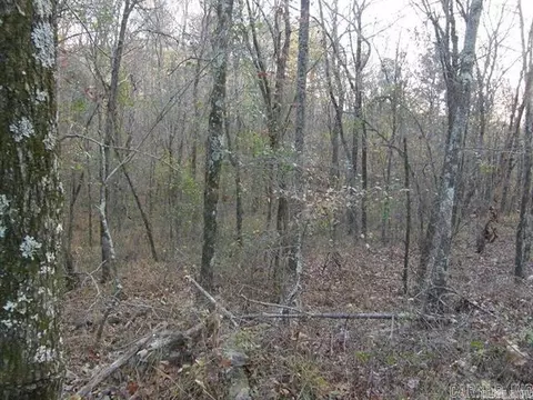 155 Shady Ln, Mena, AR 71953 photo 18