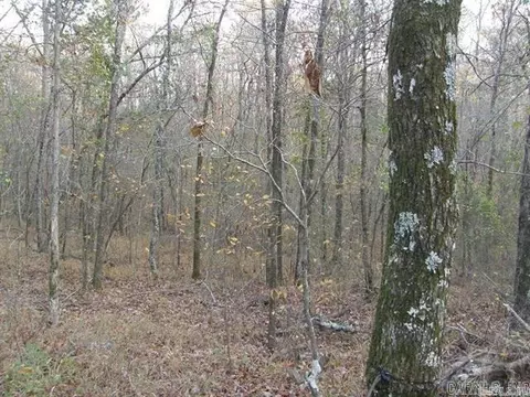 155 Shady Ln, Mena, AR 71953 photo 21