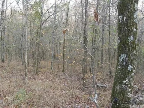 155 Shady Ln, Mena, AR 71953 photo 6