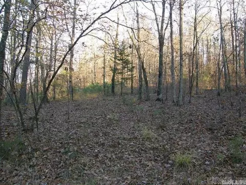 155 Shady Ln, Mena, AR 71953 photo 17