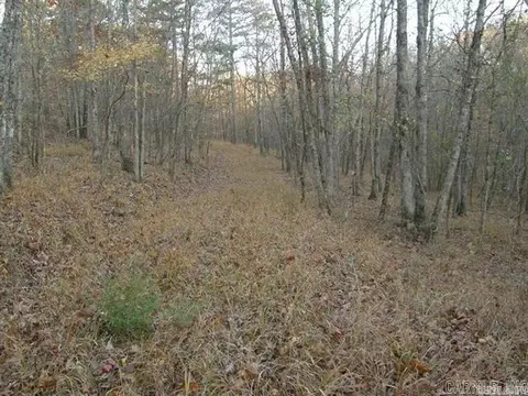 155 Shady Ln, Mena, AR 71953 photo 3