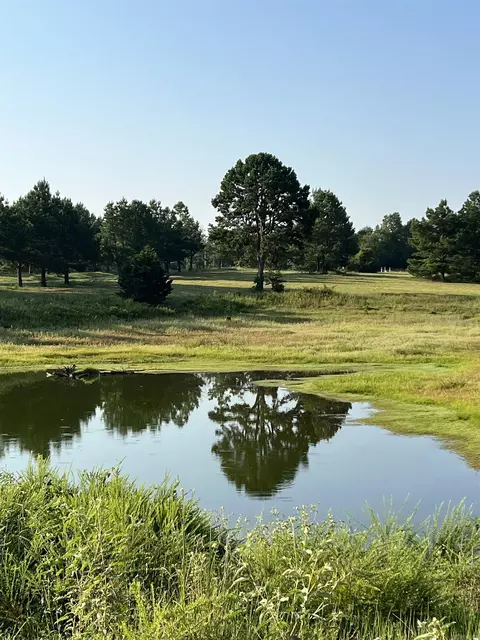 207 Spring Rd, Searcy, AR 72143