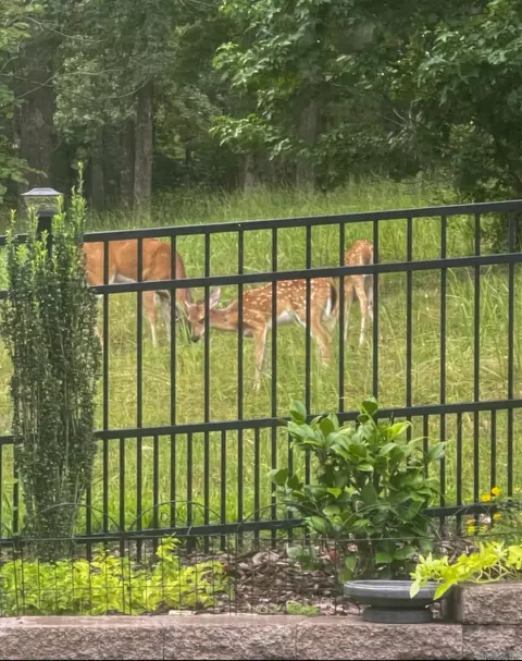 Other - 2319 Abigail Dr, Bryant, AR 72019 photo 12 of 12
