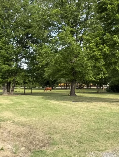 115 Roper Rd, Mcrae, AR 72102 photo 32