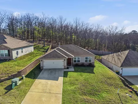 View/Area - 8 Spring Ridge Ln, Conway, AR 72032 photo 3 of 9