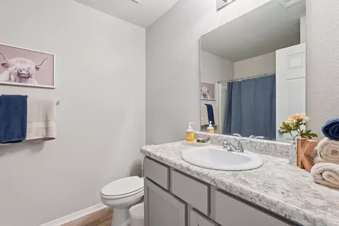 Bath - 8 Spring Ridge Ln, Conway, AR 72032 photo 3 of 3