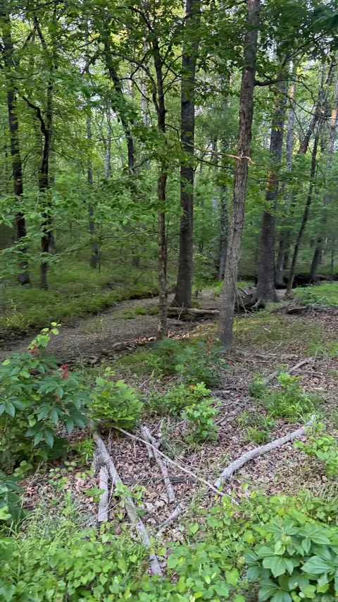 00 Robinson Rd, Cabot, AR 72023 photo 2