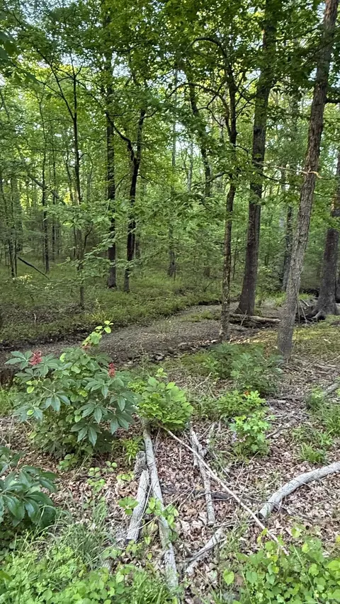 00 Robinson Rd, Cabot, AR 72023 photo 4