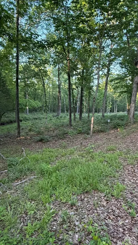 00 Robinson Rd, Cabot, AR 72023 photo 6