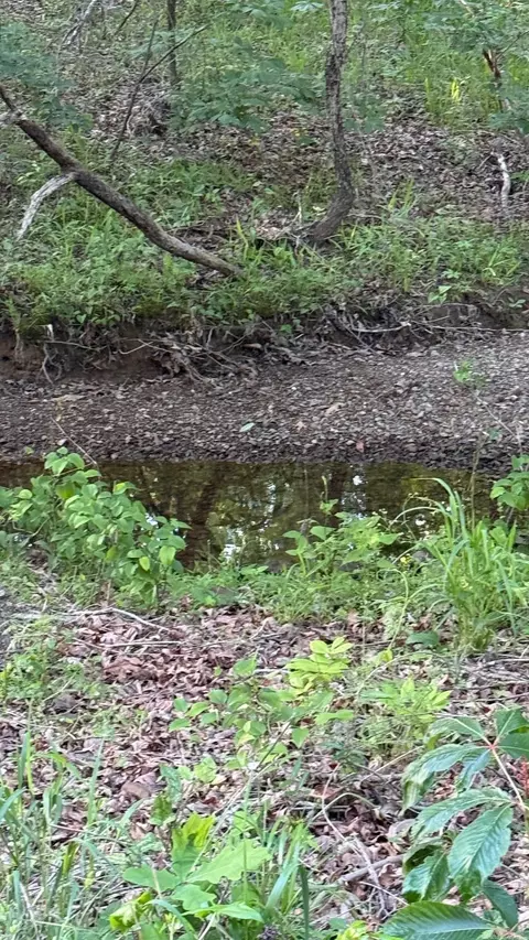 00 Robinson Rd, Cabot, AR 72023 photo 3
