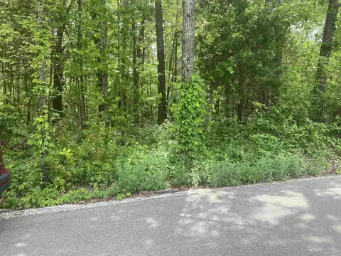 144 Elm St, Pineville, AR 72566