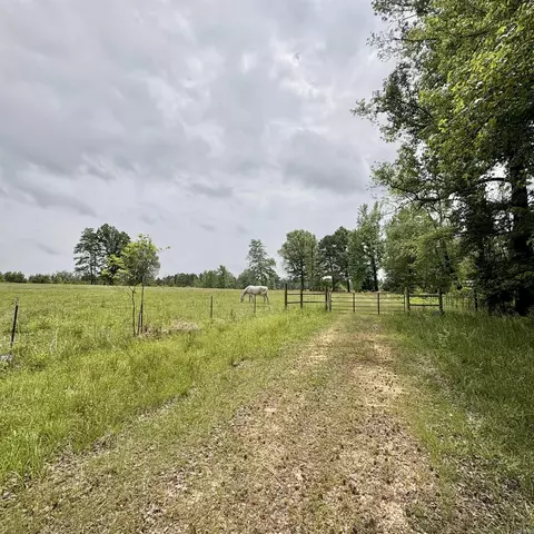 0 Grant County Rd 16, Grapevine, AR 72057 photo 4