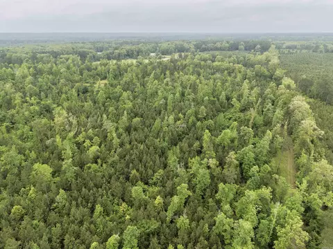 0 Grant County Rd 16, Grapevine, AR 72057 photo 15