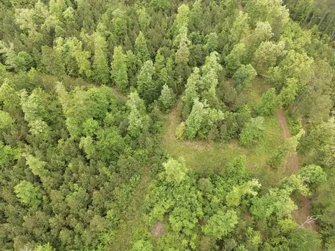 0 Grant County Rd 16, Grapevine, AR 72057 photo 9