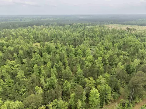 0 Grant County Rd 16, Grapevine, AR 72057 photo 8