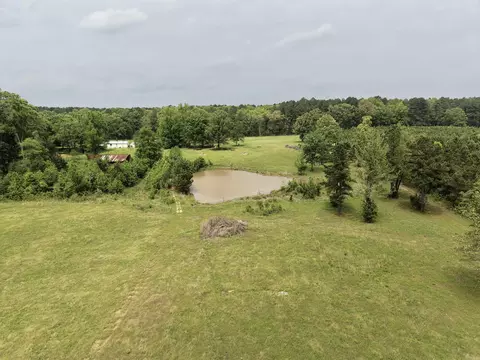 0 Grant County Rd 16, Grapevine, AR 72057 photo 12