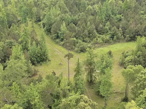 0 Grant County Rd 16, Grapevine, AR 72057 photo 10
