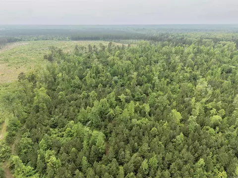 0 Grant County Rd 16, Grapevine, AR 72057 photo 14