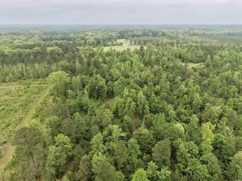0 Grant County Rd 16, Grapevine, AR 72057 photo 17