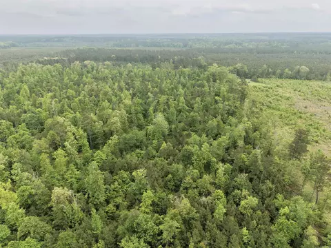 0 Grant County Rd 16, Grapevine, AR 72057 photo 18