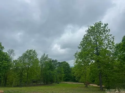 2619 Jimmy Creek Rd, Fox, AR 72051 photo 27