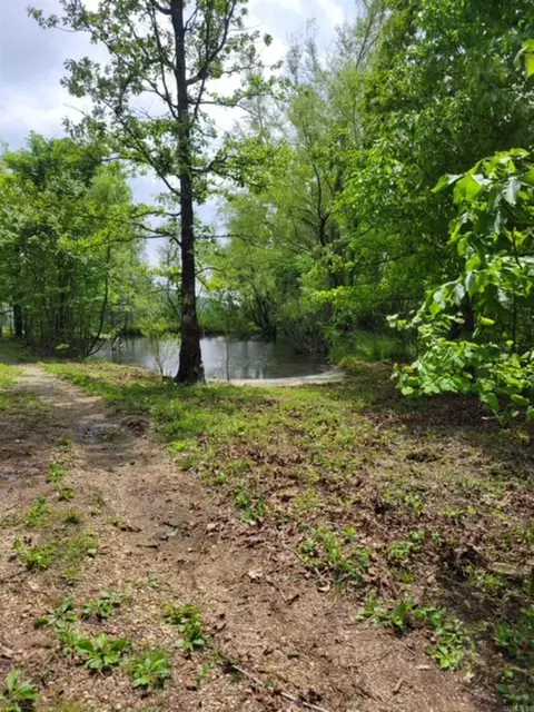 2619 Jimmy Creek Rd, Fox, AR 72051 photo 28