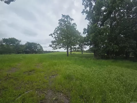tbd Polk Road 53, Mena, AR 71953 photo 5