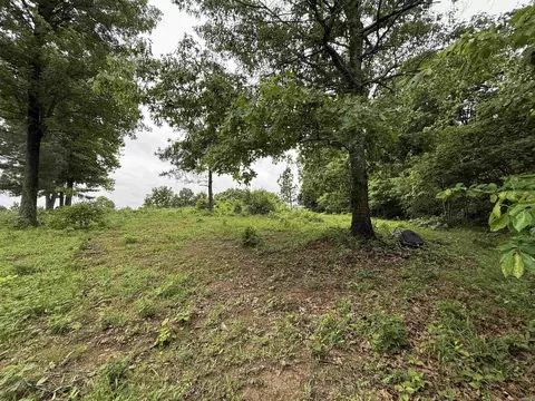 197 County 426 Rd, Rector, AR 72461 photo 27