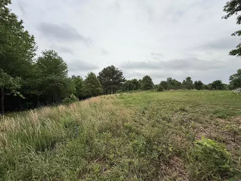 197 County 426 Rd, Rector, AR 72461 photo 11