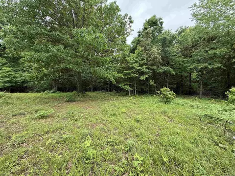 197 County 426 Rd, Rector, AR 72461 photo 21